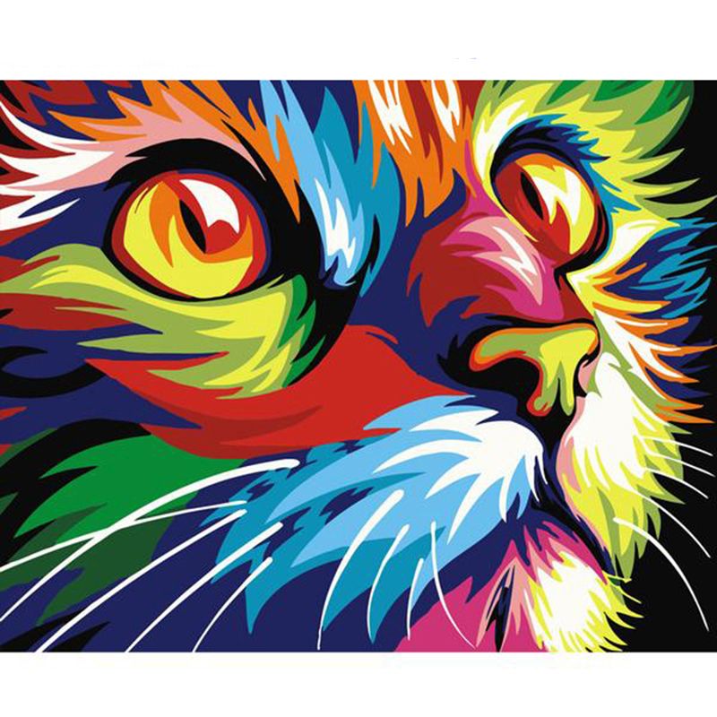 Multicolor Cat