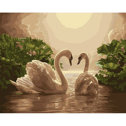 Swan Love