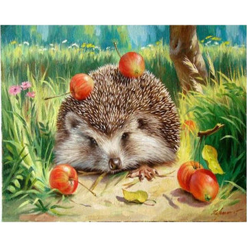 Lovely Hedgehog