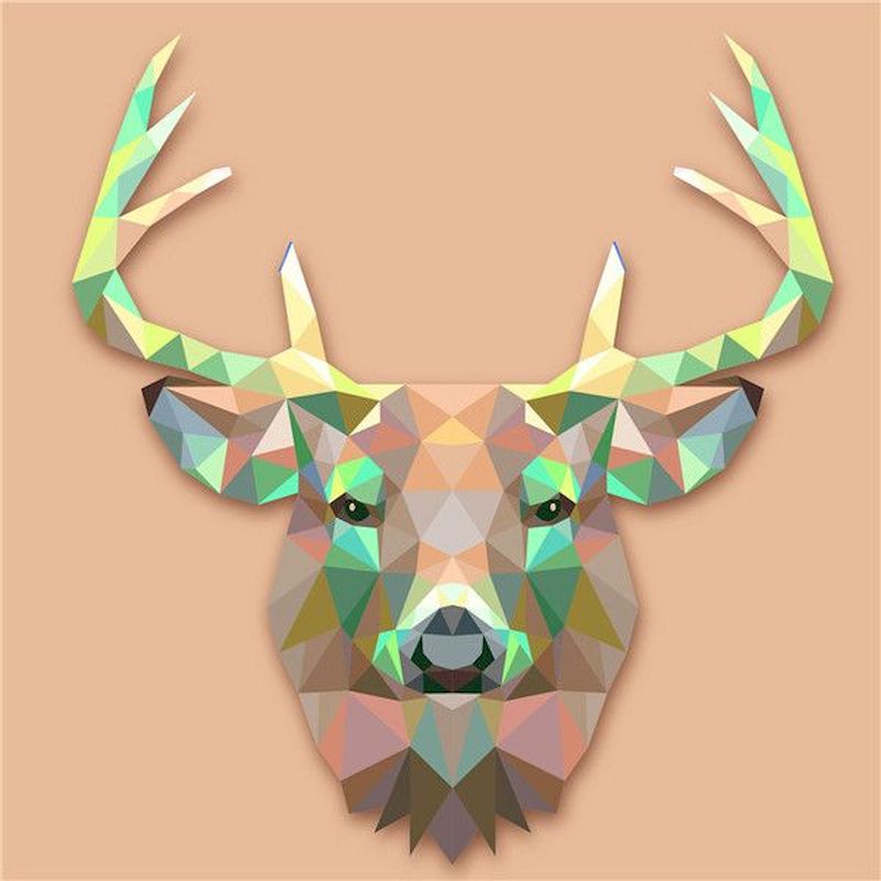 Multicolor Deer